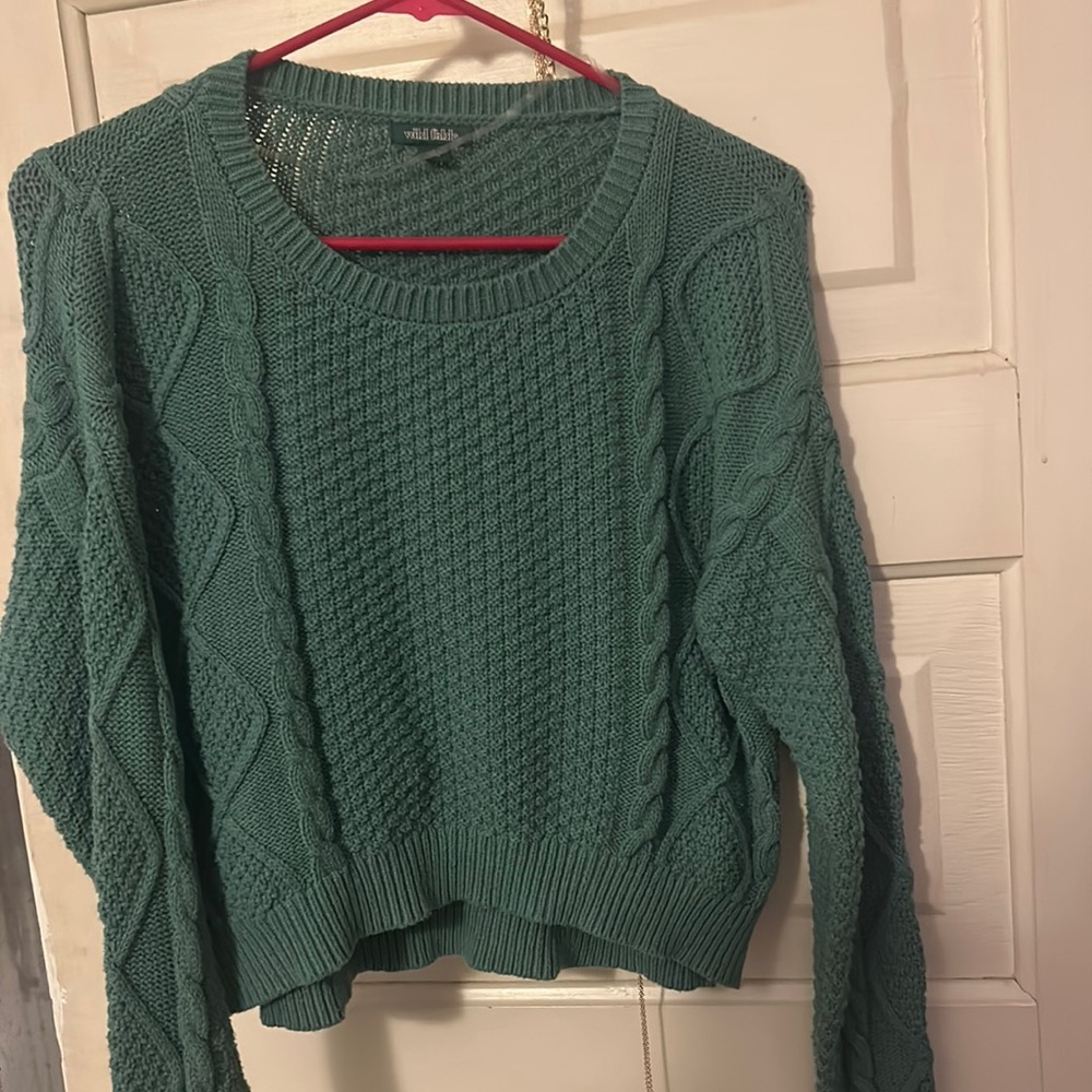 Wild fable cropped sweater